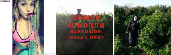 крисы Каменск-Шахтинский