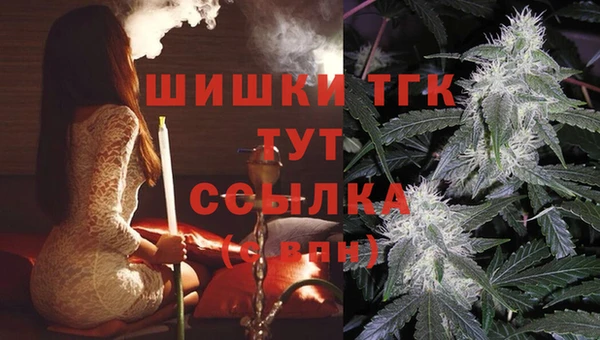крисы Каменск-Шахтинский