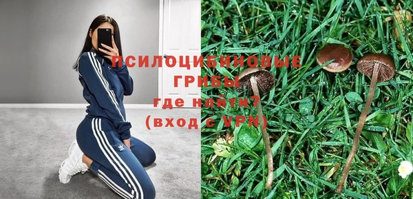 крисы Каменск-Шахтинский