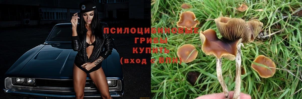 крисы Каменск-Шахтинский