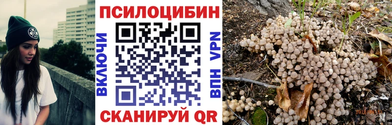 Псилоцибиновые грибы Psilocybine cubensis  Купить где  Горняк 